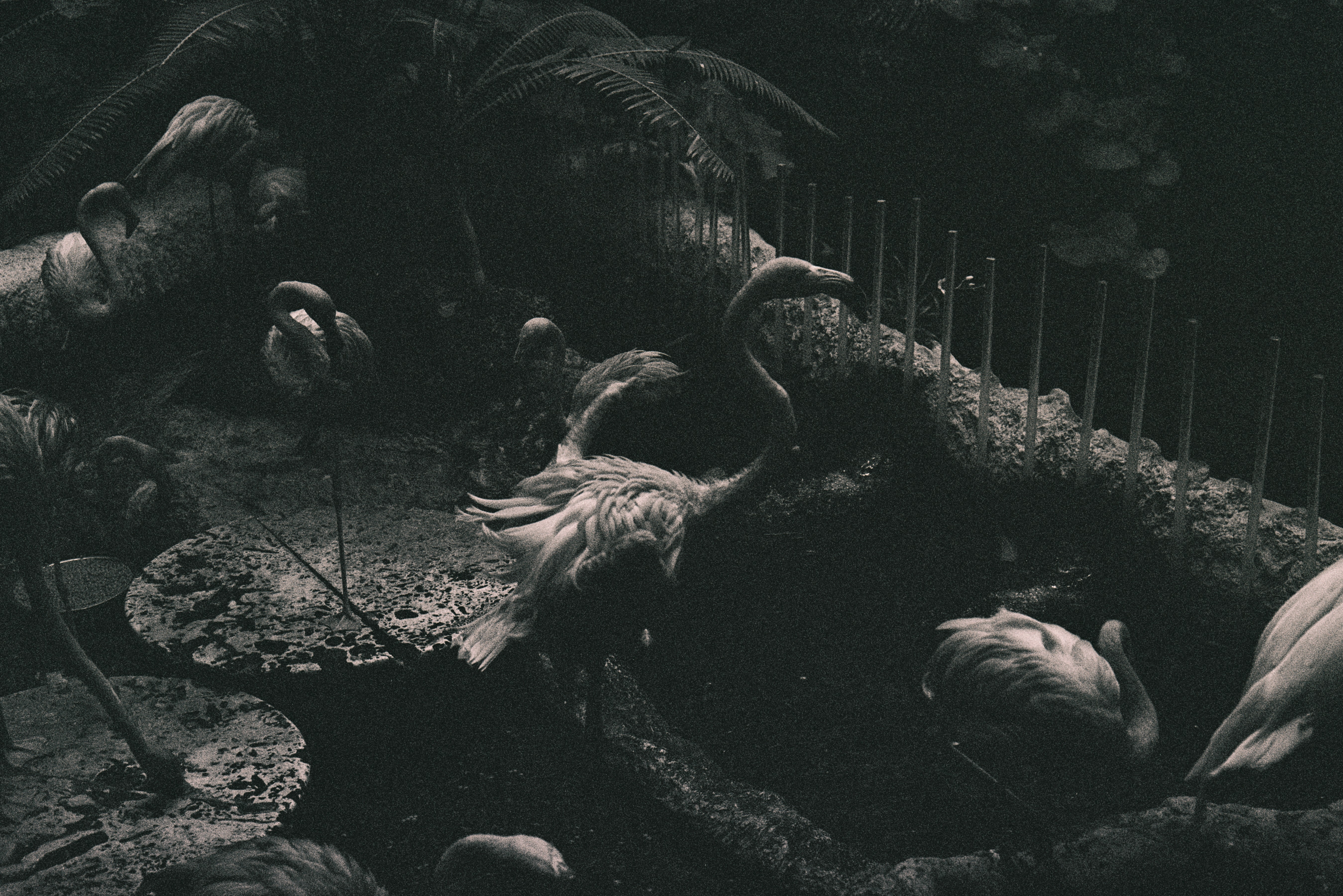 Photography Sample 1